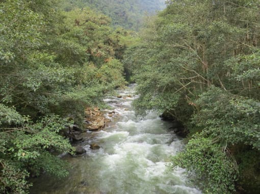 El río Quijos atravesando bosques nativos cerca de las famosas termas de Papallacta, Ecuador.