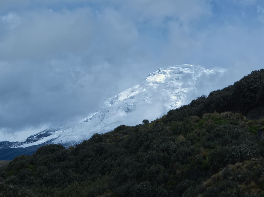 Cima nevada del Antisana entre nubes pasajeras con una colina boscosa en primer plano.