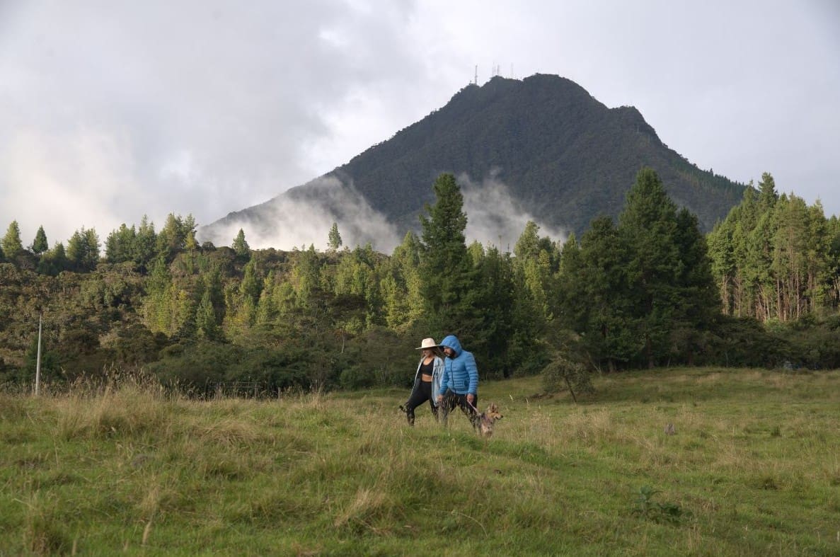 "Explore Washapamba: A Natural Refuge for Ecotourism" "Bosque comunitario Washapamba con senderos rodeados de vegetación andina, ideal para caminatas y ecoturismo"